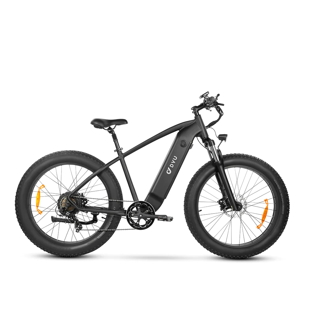 DYU King e-bike